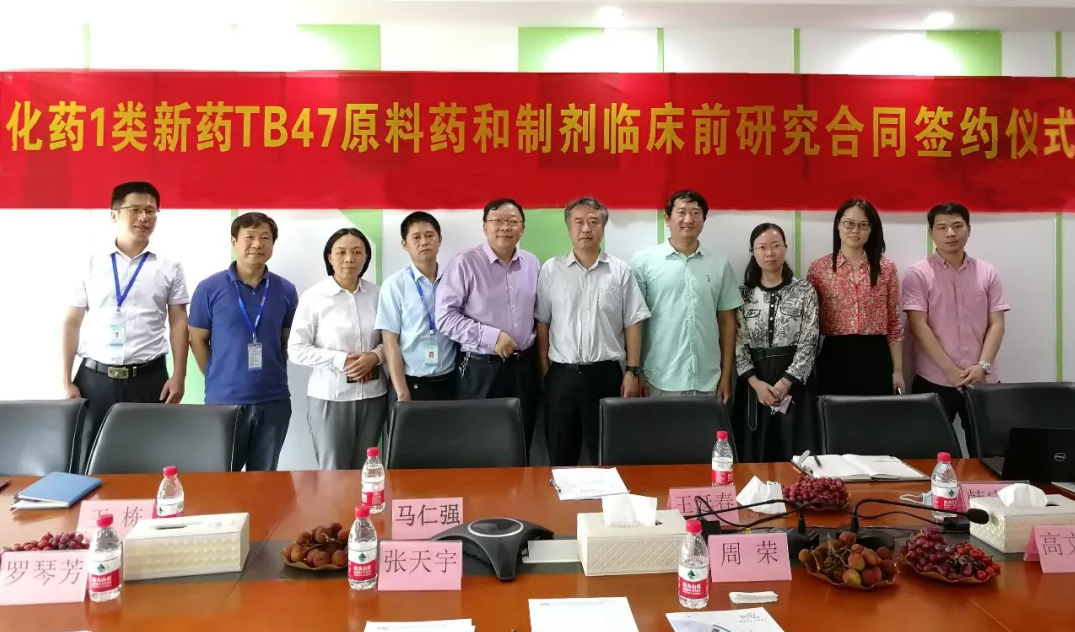 化藥1類新(xin)藥TB47原料藥與製(zhi)劑臨牀(chuang)前(qian)研究